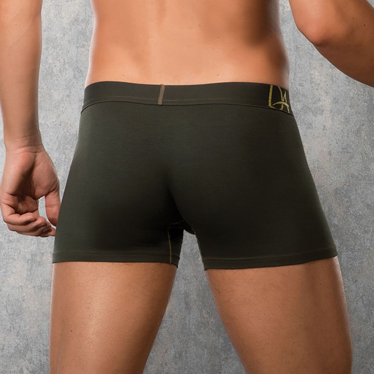 Боксеры с золотистыми контурными линиями Doreanse Panel 2