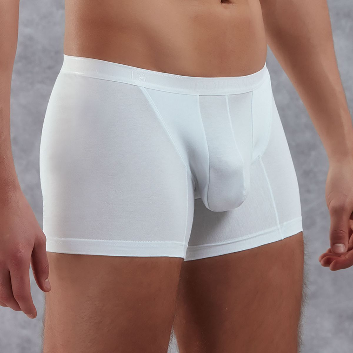 Боксеры из хлопково-модальной ткани Doreanse Adonis 3