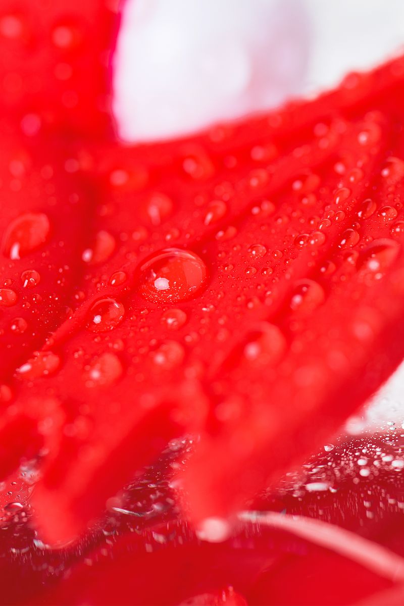 Красное эрекционное кольцо на пенис JOS COCKY DEVIL 10