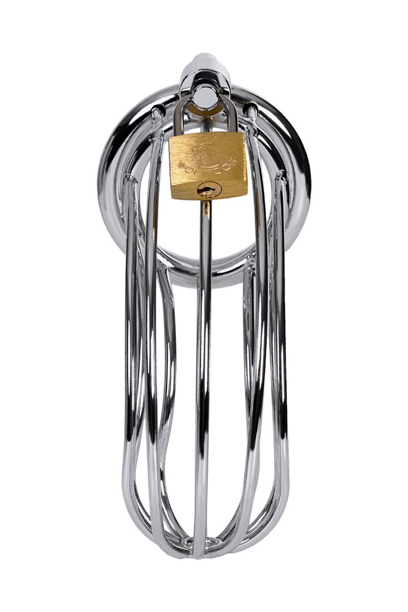 Серебристый пояс верности TOYFA на замочке 3