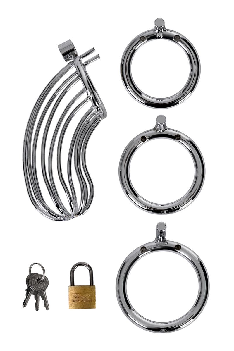 Серебристый пояс верности TOYFA на замочке 4