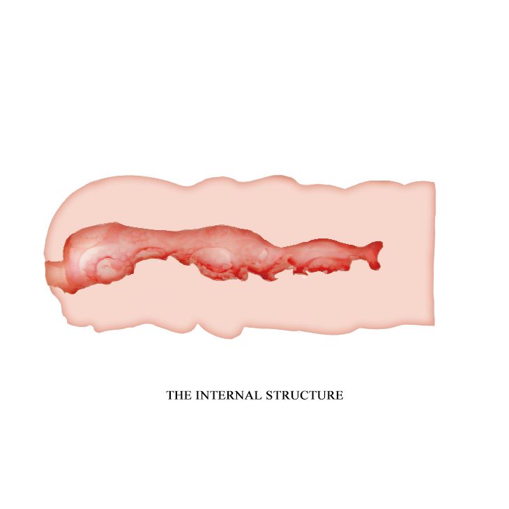 Телесный мастурбатор-вагина Isabel 4