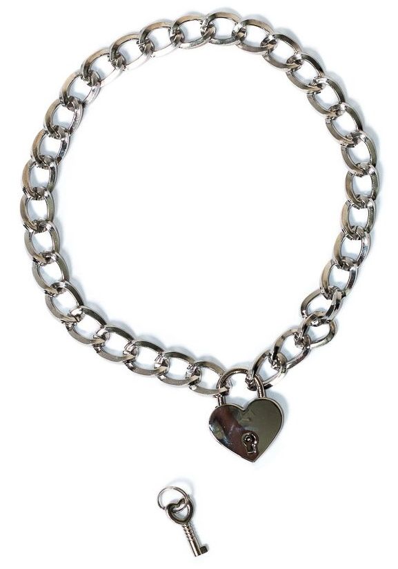 Серебристый ошейник Embrace с ключиком 1