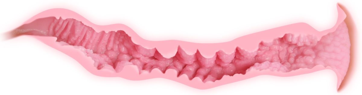 Телесный мастурбатор Veronia с двойным слоем материала 7