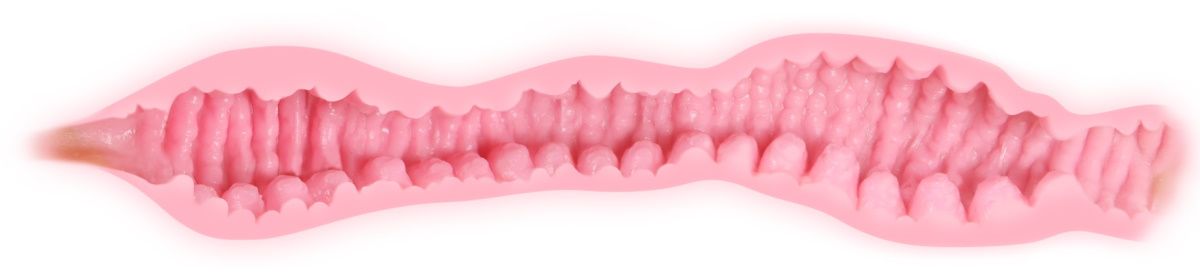 Телесный мастурбатор Veronia с двойным слоем материала 8