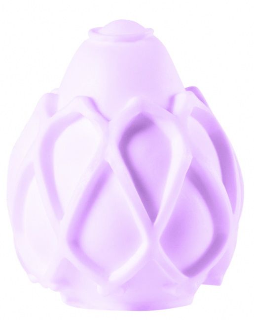 Фиолетовый мастурбатор Chic 1