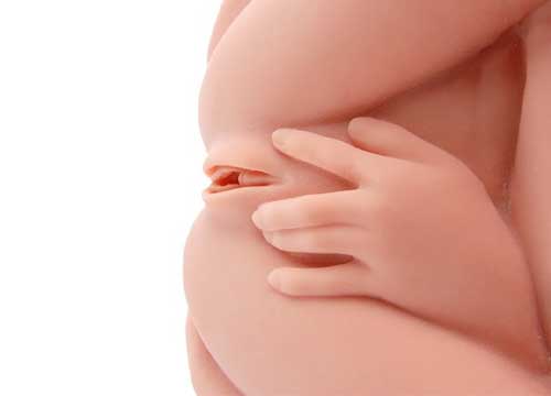 Реалистичный торс-девушка Hera 3 с тремя тугими отверстиями, вибрацией, ротацией и голосом 2