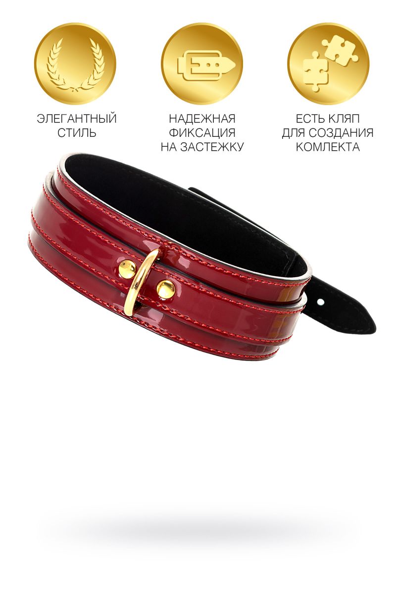Красный ошейник из лакированного материала 3