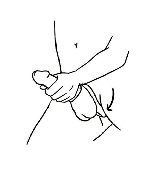 Черное эрекционное кольцо Benedict для стимуляции промежности 7