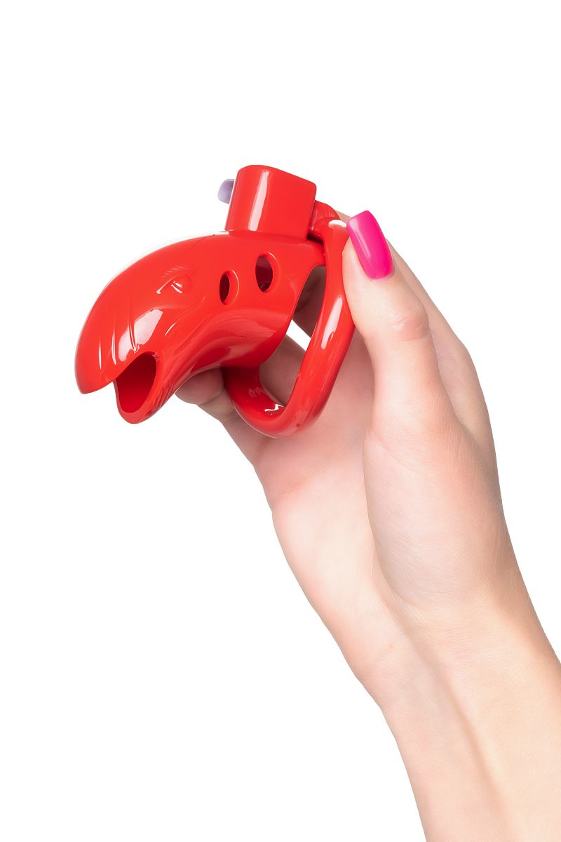 Красный мужской пояс верности из пластика 8