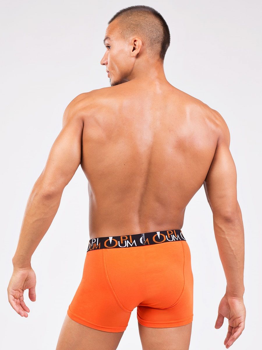 Яркие и удобные мужские боксеры 3
