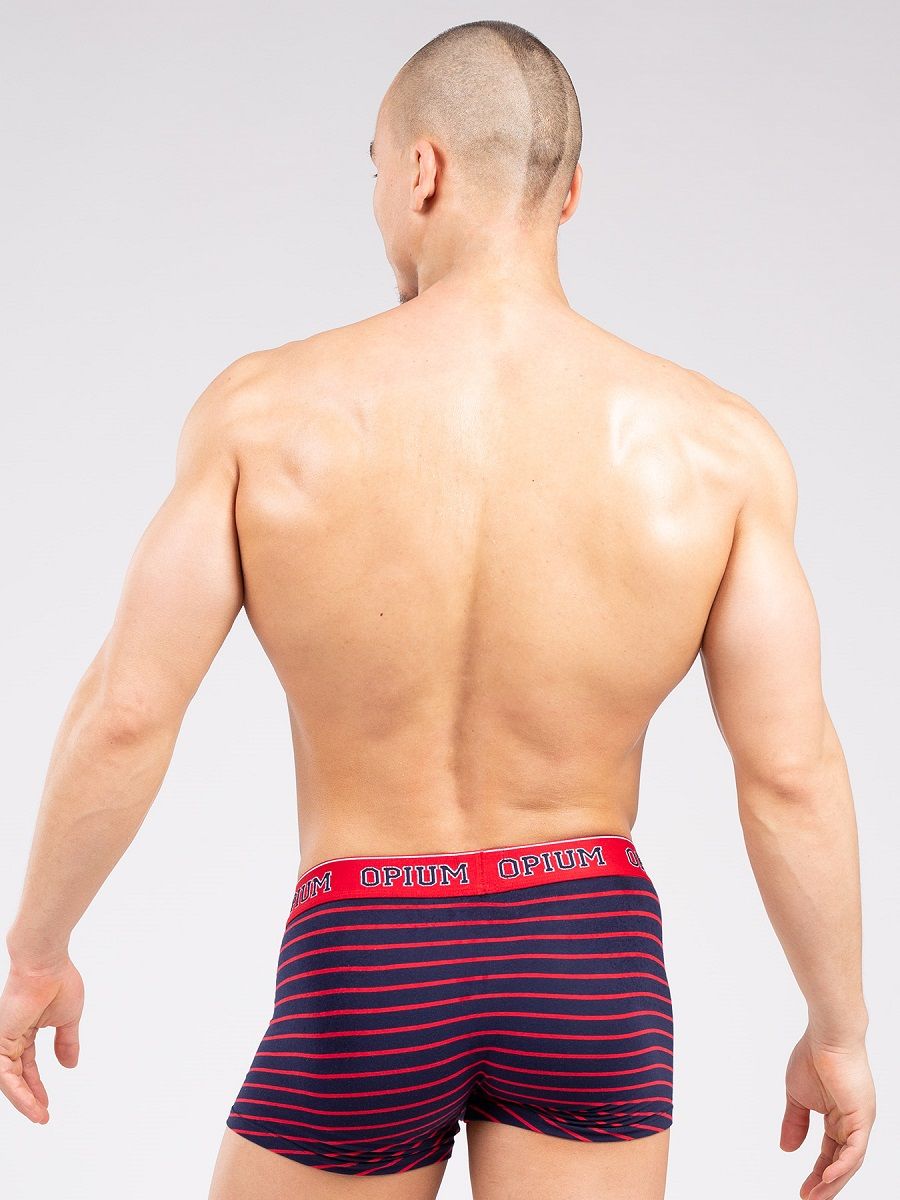 Мужские боксеры в полоску из мягкого хлопкового трикотажа 2