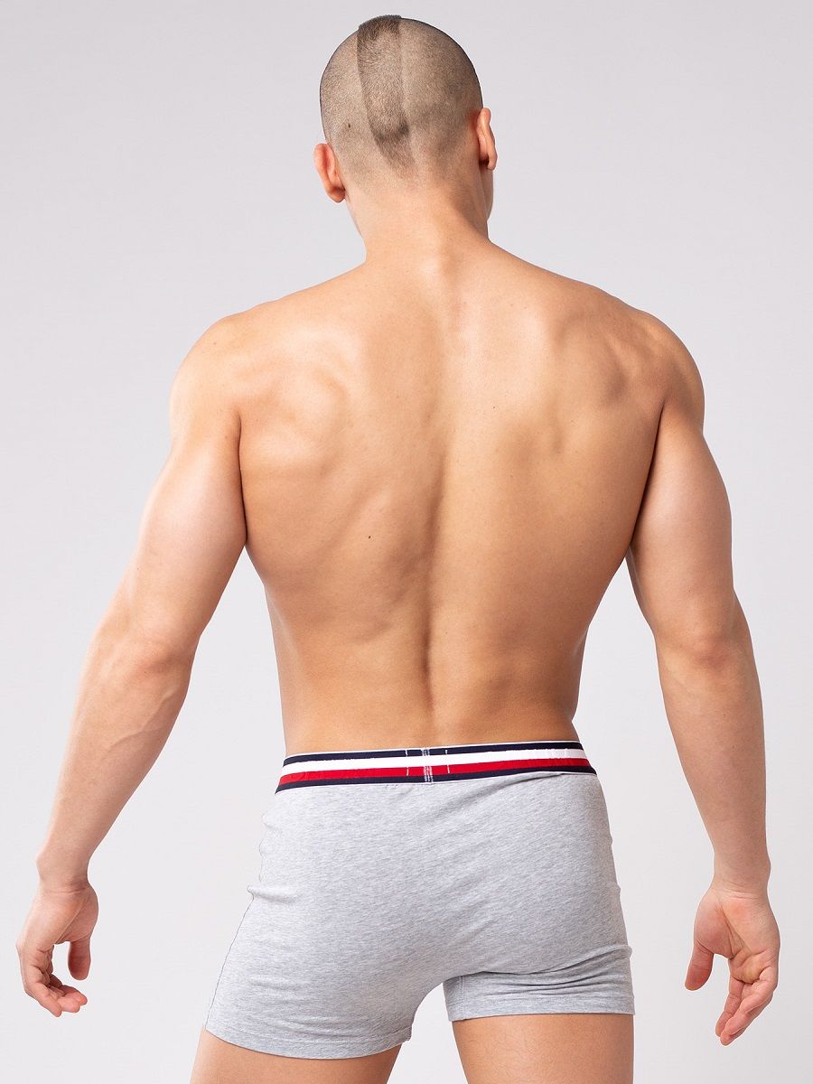 Мужские боксеры из мягкого хлопкового трикотажа с резинкой в полоску 2