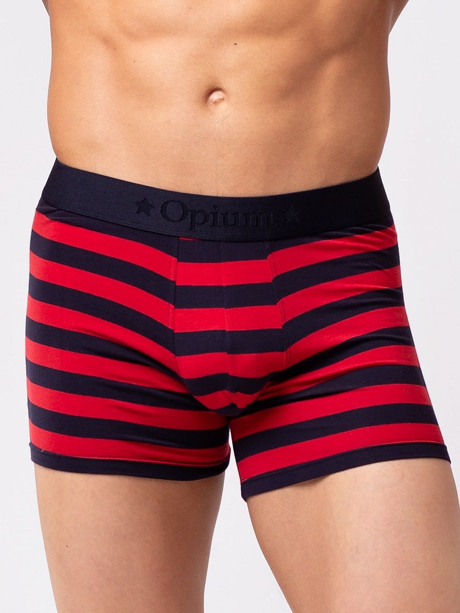 Мужские боксеры из мягкого хлопкового трикотажа в полоску 1
