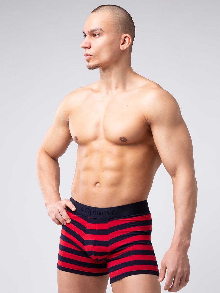 Мужские боксеры из мягкого хлопкового трикотажа в полоску 2