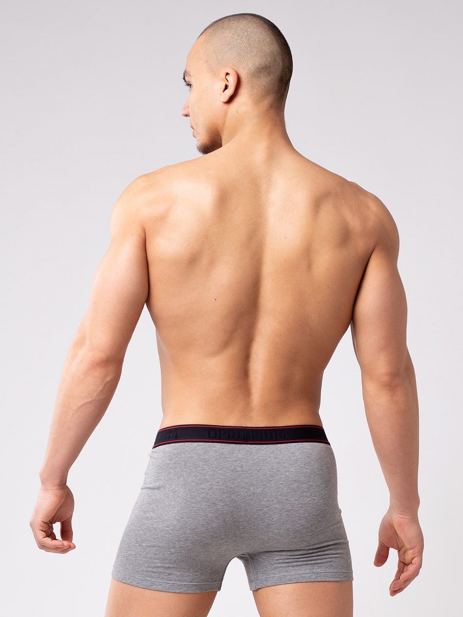 Мужские боксеры из мягкого хлопкового трикотажа 2