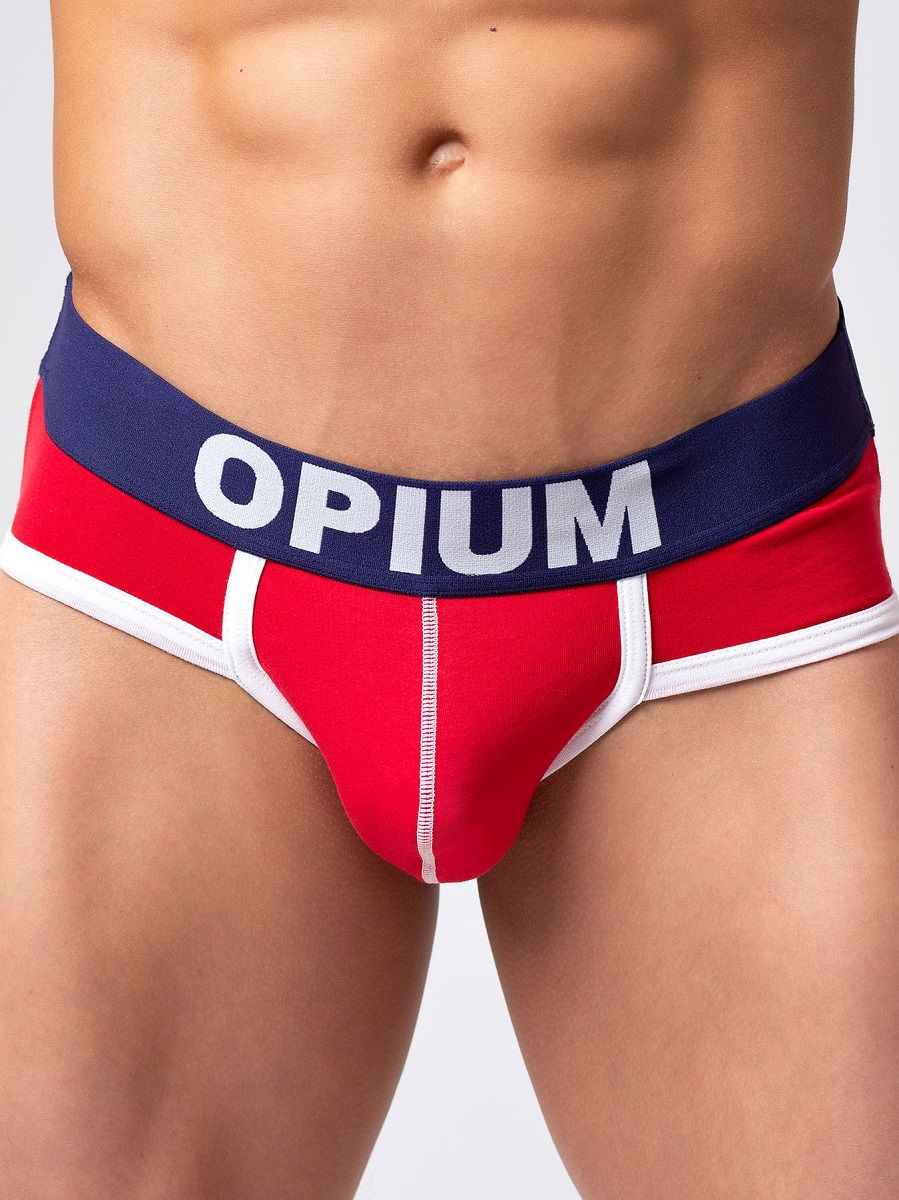 Трусы-брифы с широкой брендированной резинкой 1