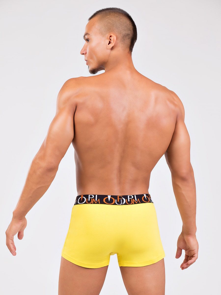 Комфортные мужские боксеры средней посадки 3