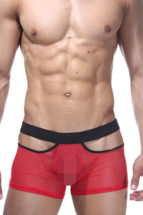 Откровенные трусы-боксеры из полупрозрачной ткани 1
