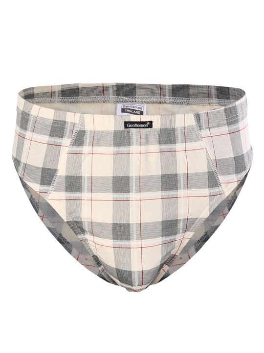 Набор из двух клетчатых хлопковых трусов-слипов 2