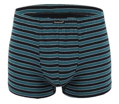Удобные мужские трусы-боксеры в полоску 1