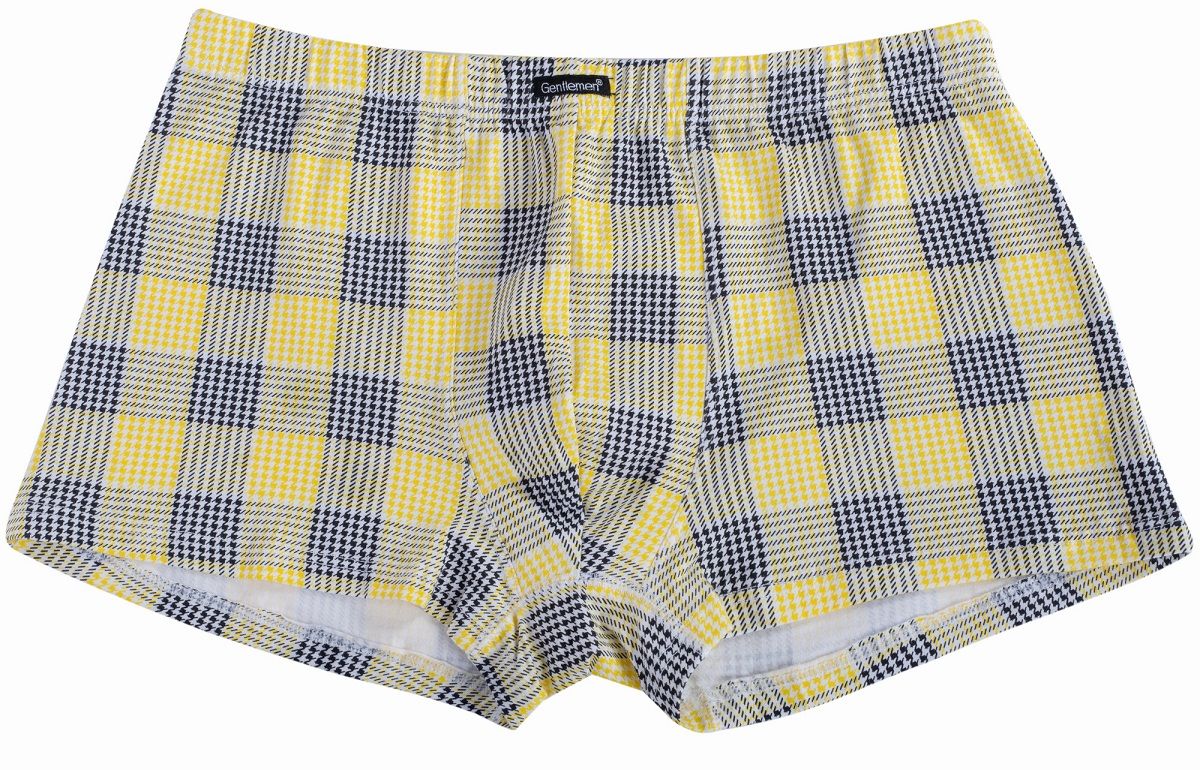 Мужские трусы-боксеры в цветную клетку 3