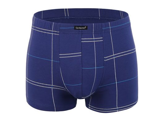 Мужские трусы-боксеры с полосками 1