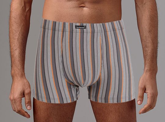 Классические трусы-боксеры в полоску 1