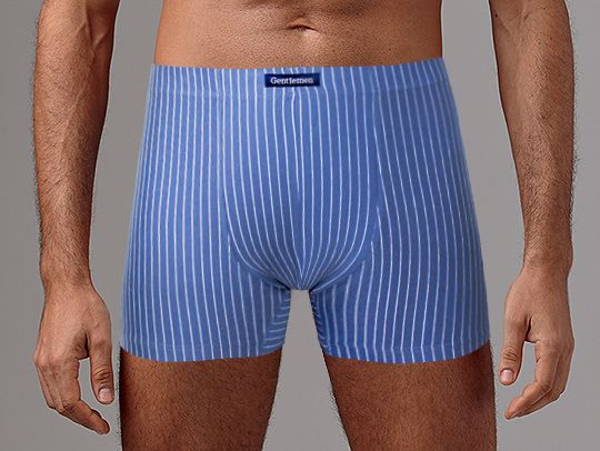 Удобные мужские боксеры в полоску 3