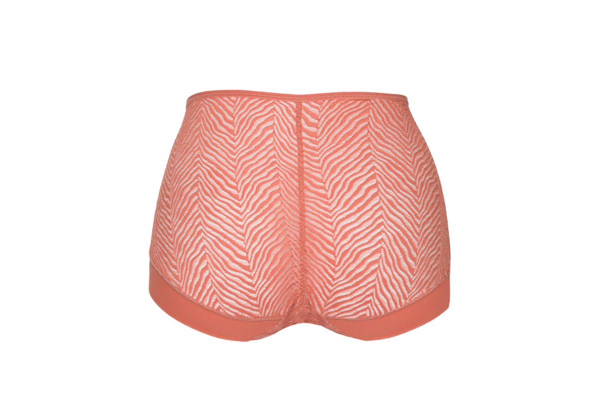 Высокие трусики-слипы Celeste 4