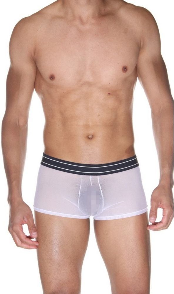 Мужские полупрозрачные трусы-боксеры 1
