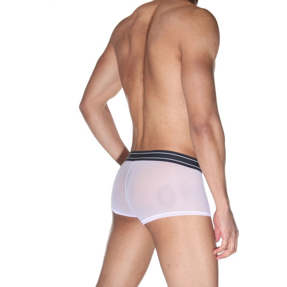 Мужские полупрозрачные трусы-боксеры 2