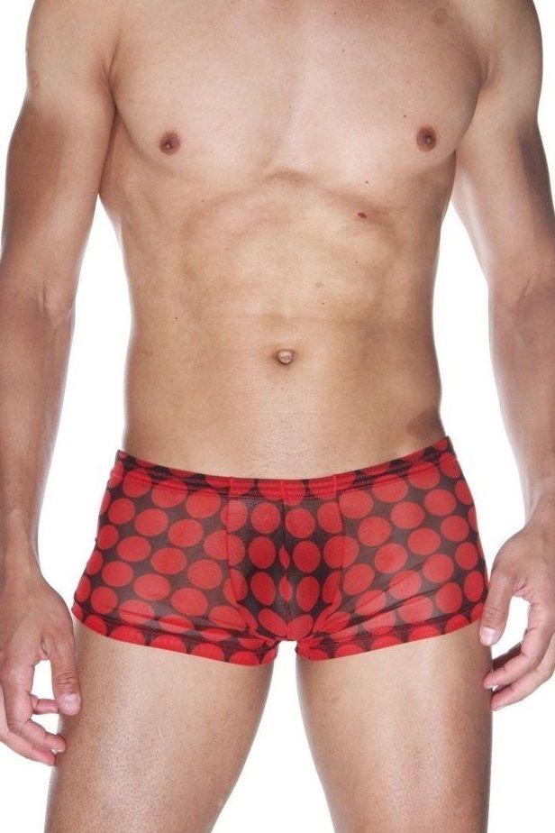 Мужские трусы-боксеры из полупрозрачной ткани в горох 1