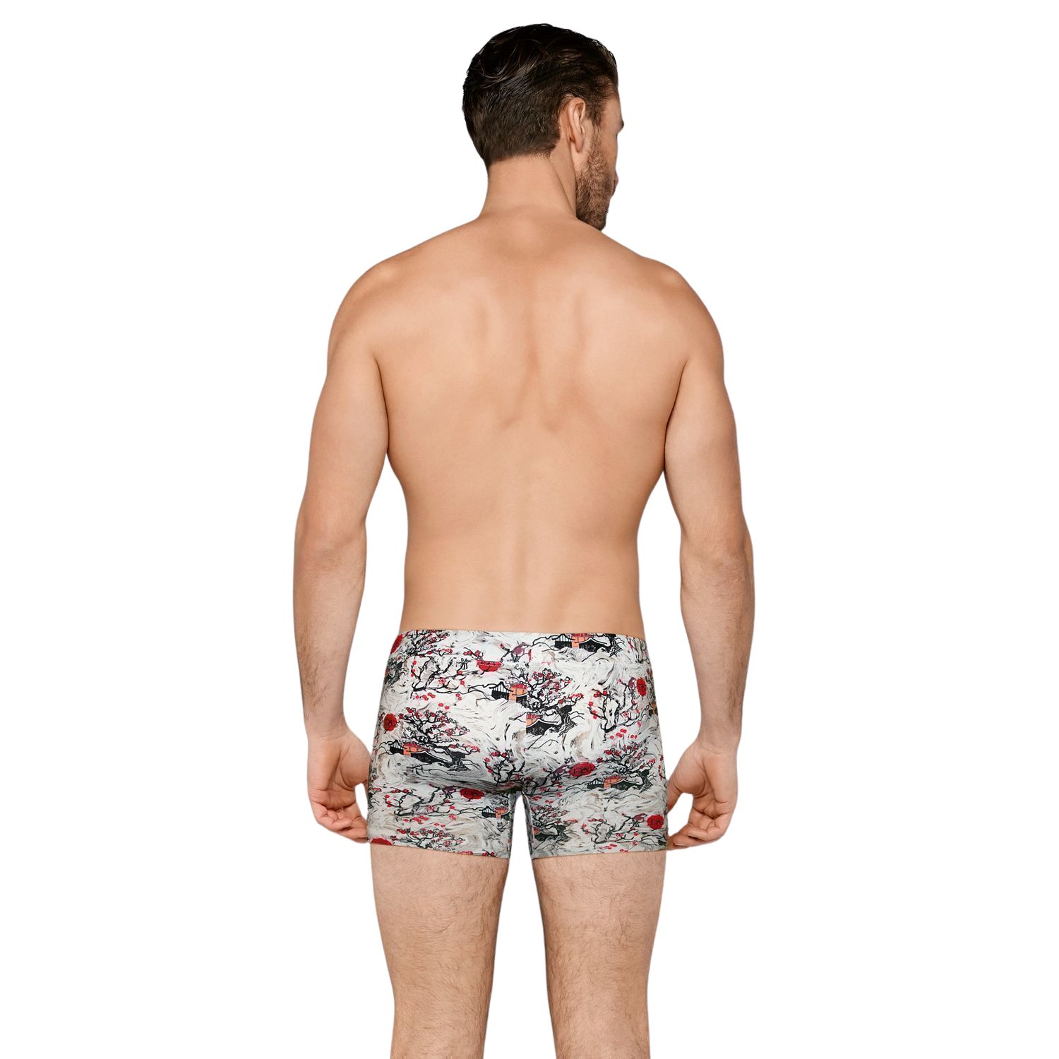 Мужские трусы-боксеры с оригинальным принтом Doreanse Doberman 2