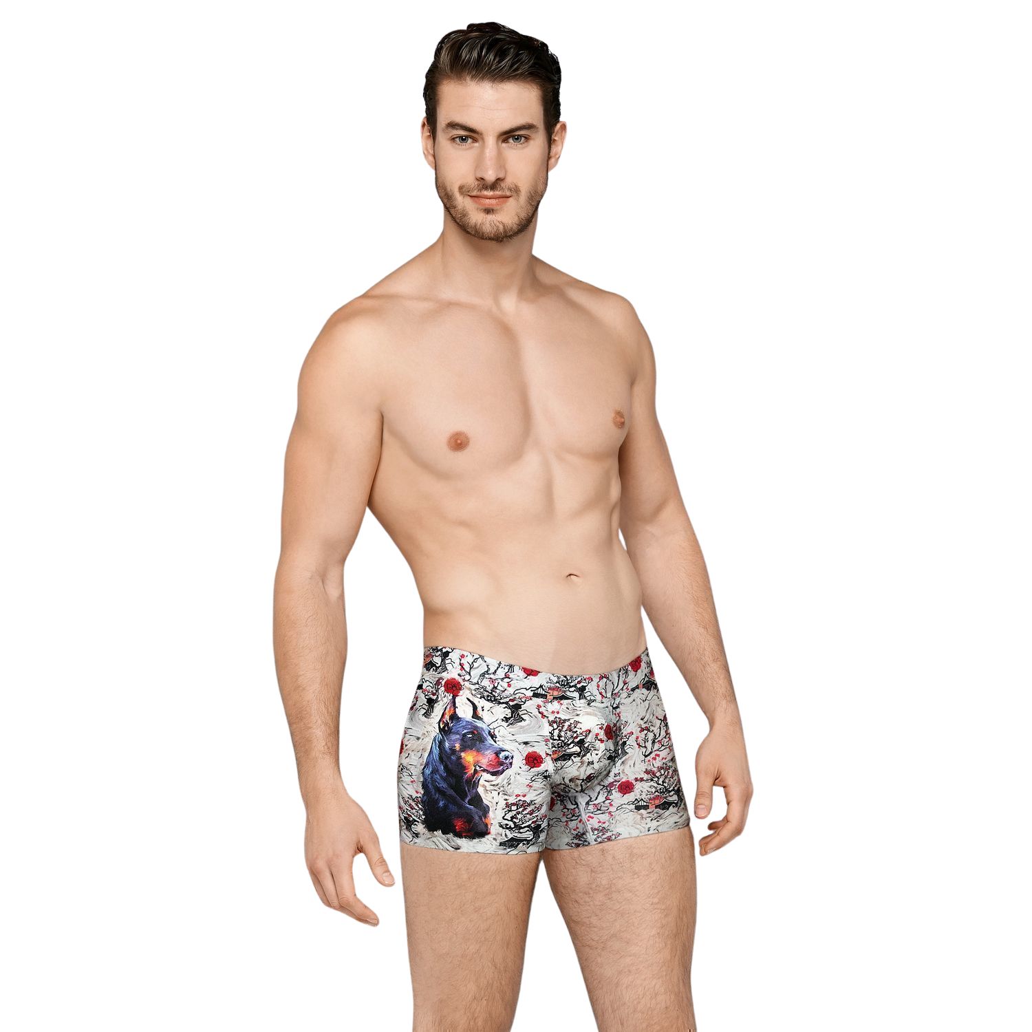 Мужские трусы-боксеры с оригинальным принтом Doreanse Doberman 1