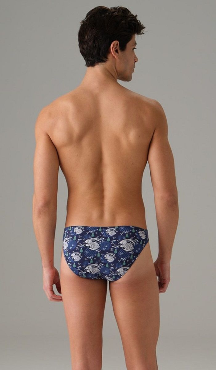 Мужские трусы-слипы с принтом в виде кроликов Doreanse Rabbit Island 2