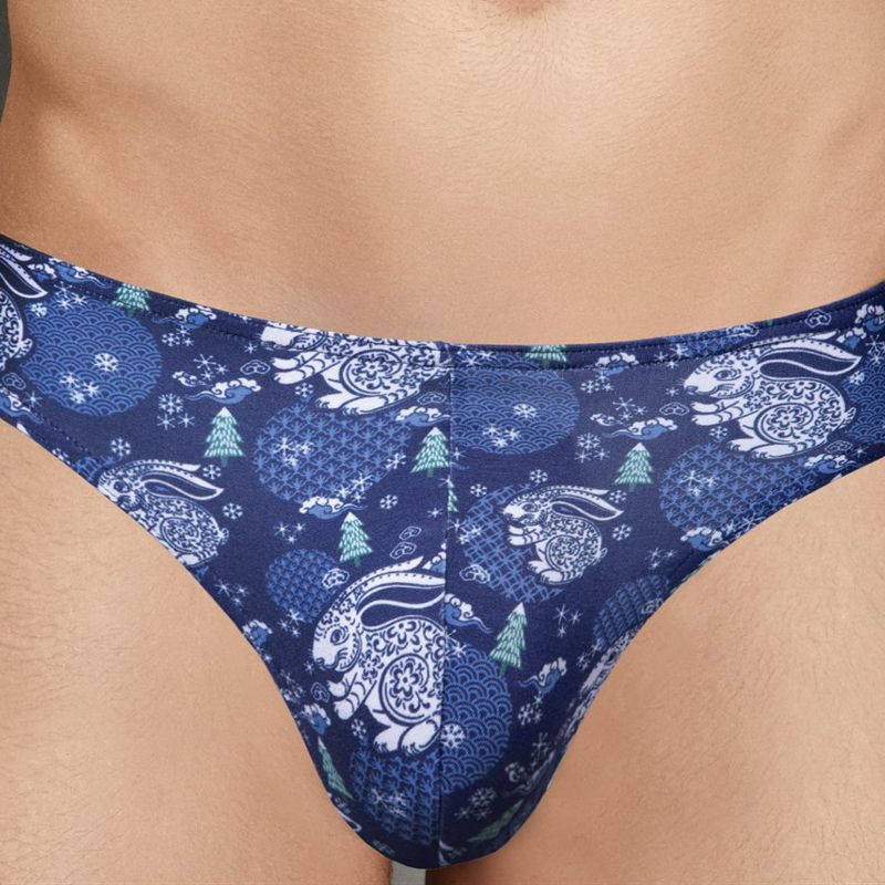 Мужские трусы-слипы с принтом в виде кроликов Doreanse Rabbit Island 3