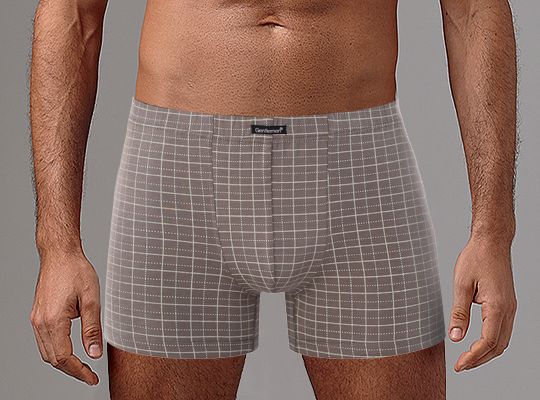 Клетчатые мужские боксеры 2
