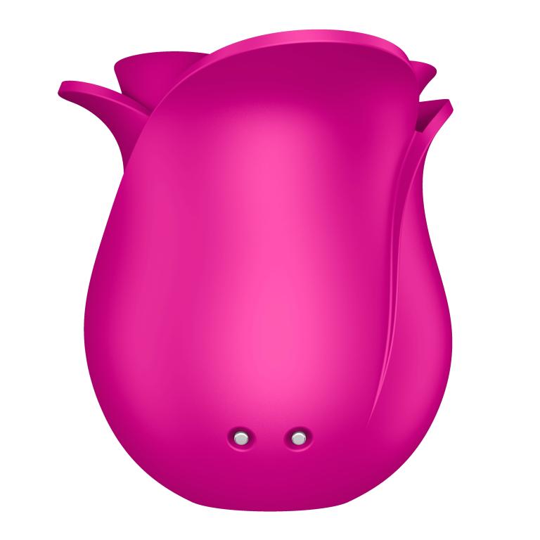 Ярко-розовый вакуум-волновой стимулятор Pro 2 Modern Blossom 7