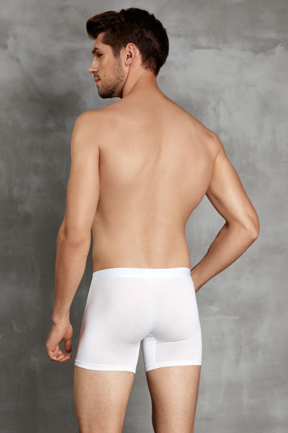 Мужские трусы-боксеры +size Doreanse Cotton Premium 2