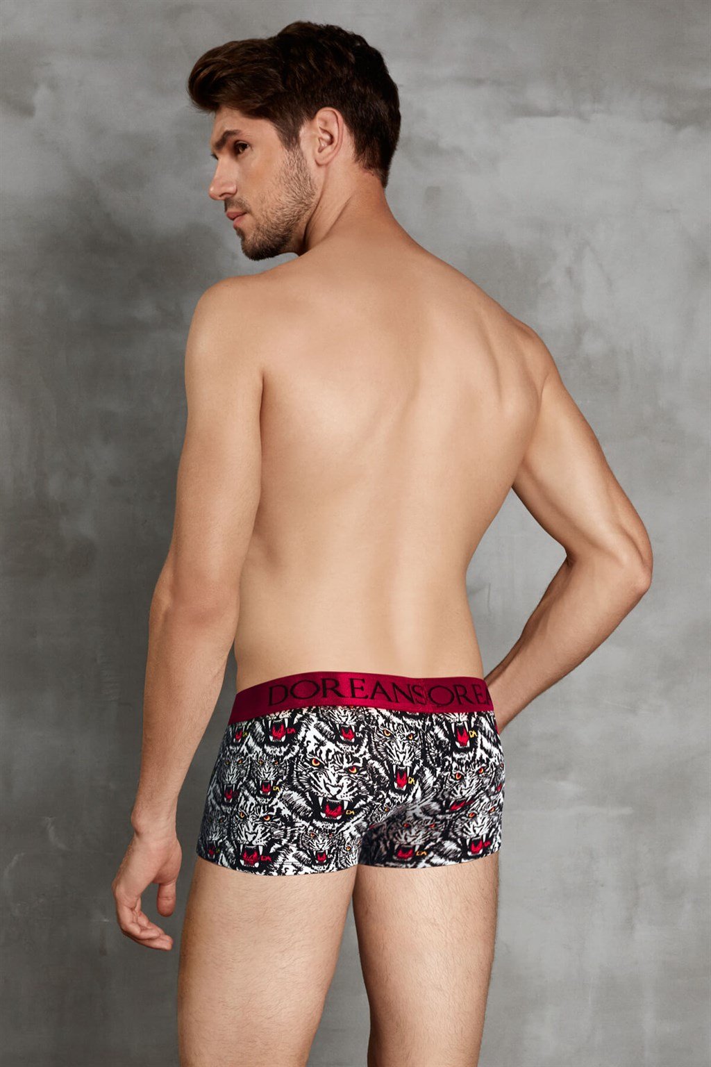 Трусы-хипсы Doreanse Wild Tiger 2