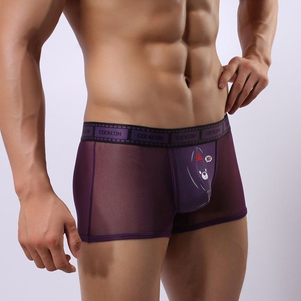 Сетчатые трусы-боксеры Cockcon Trunks с принтом на гульфике 9