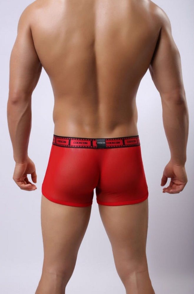 Сетчатые трусы-боксеры Cockcon Trunks с принтом на гульфике 7