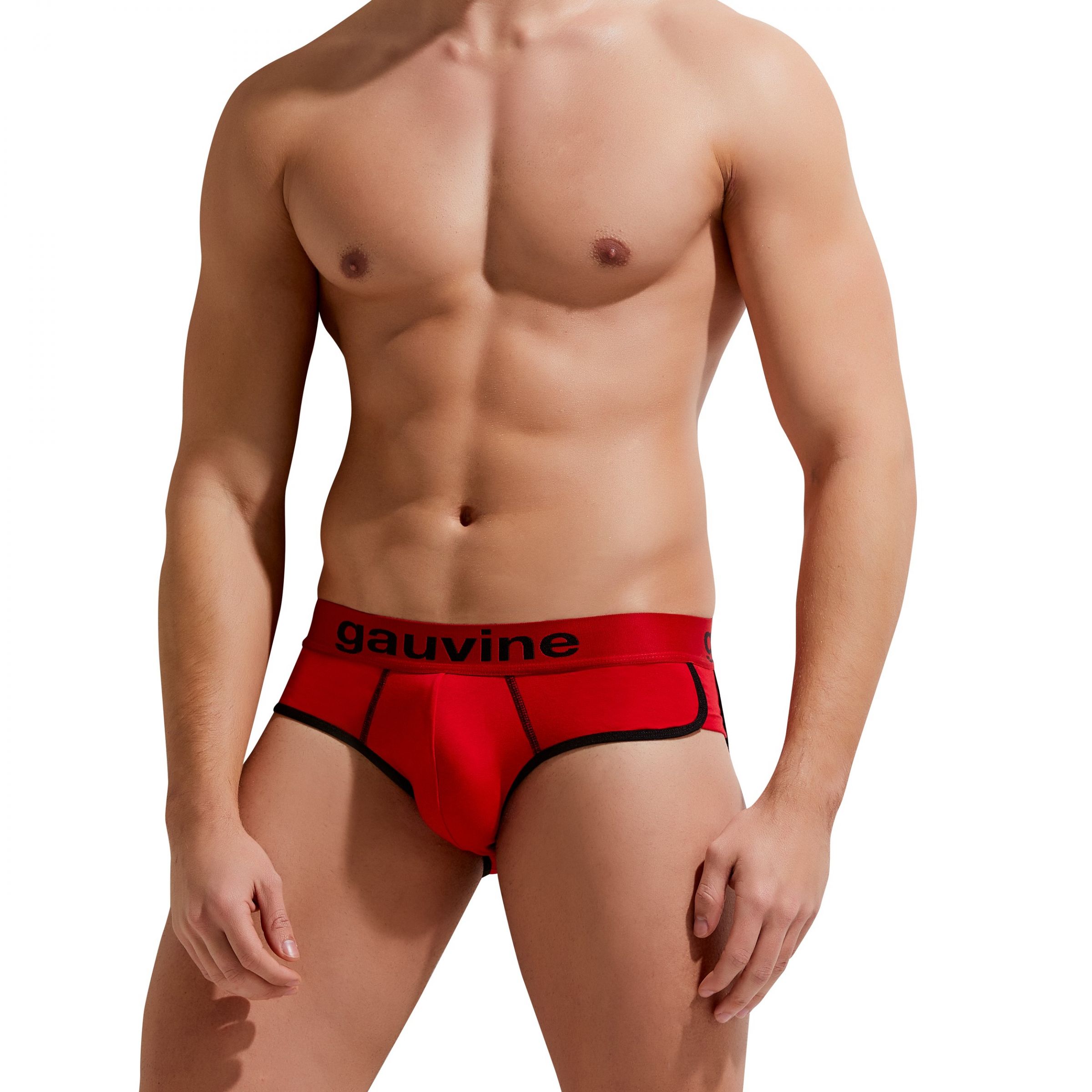 Мужские трусы-брифы Gauvine 3