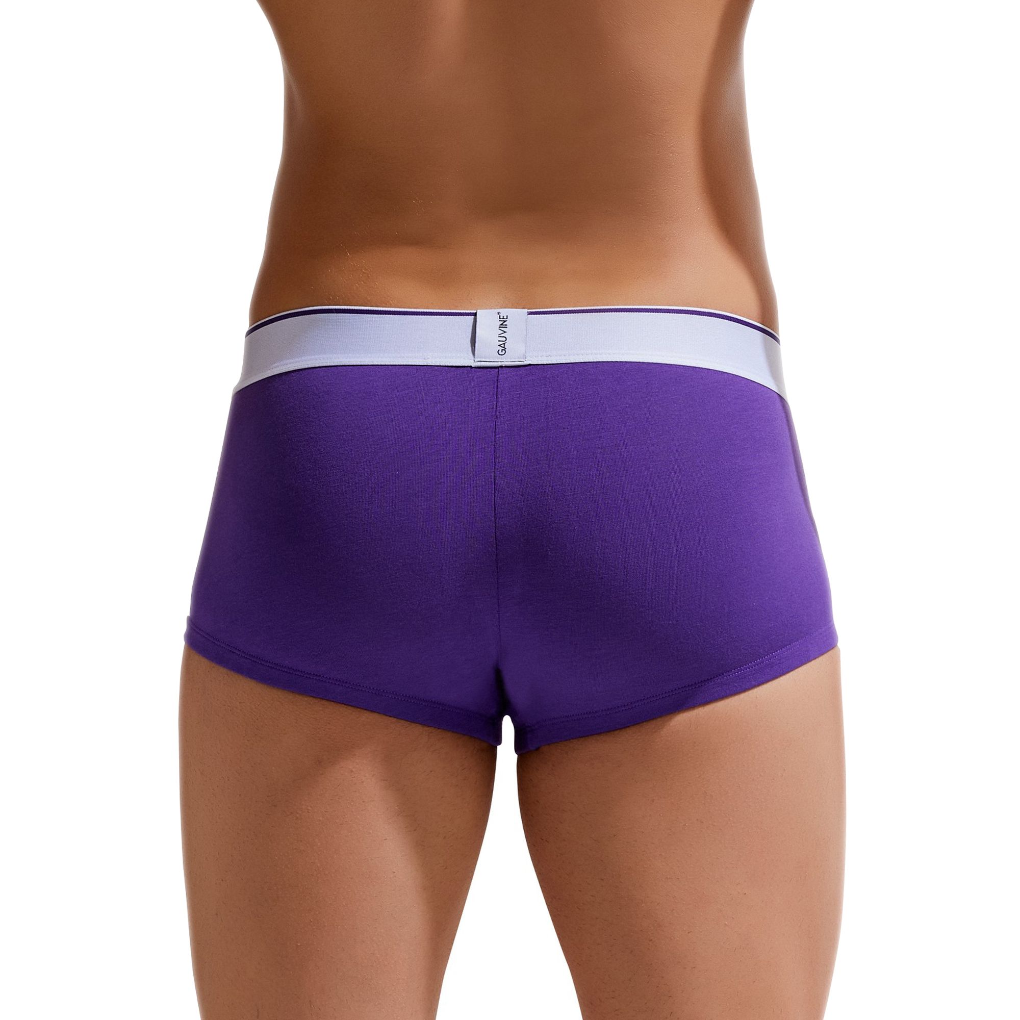 Мужские трусы-хипсы Colours of the Planet Trunk 8