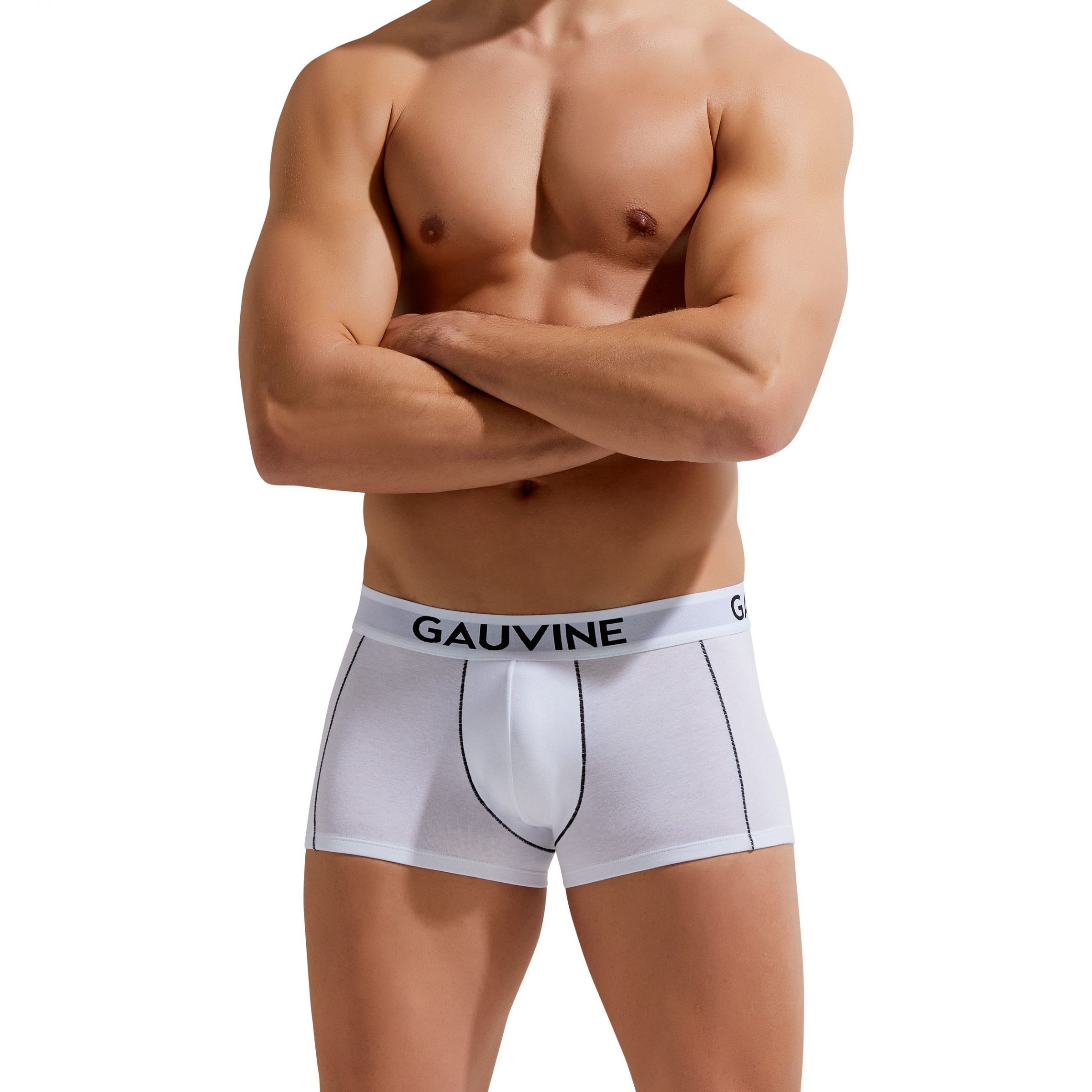 Мужские трусы-боксеры Gauvine 3