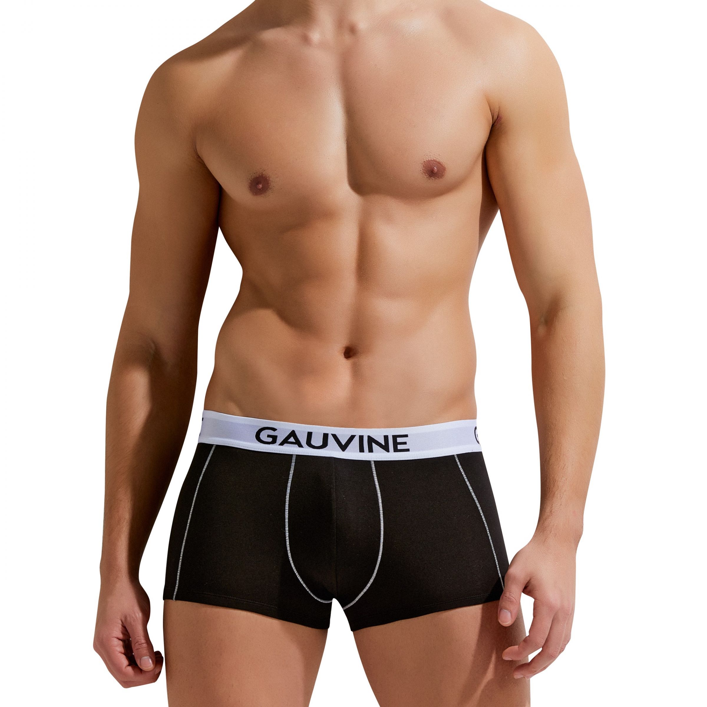Мужские трусы-боксеры Gauvine 1