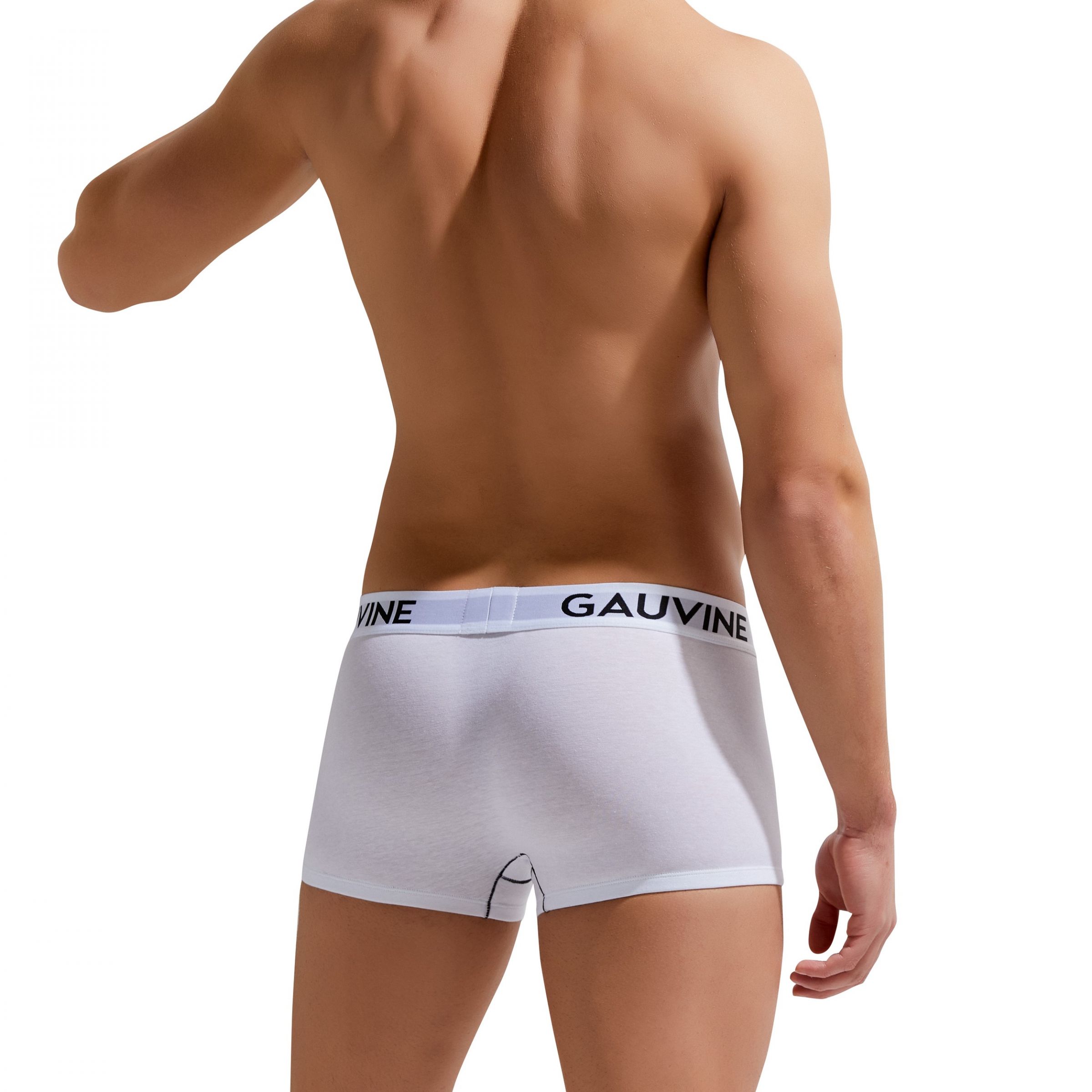 Мужские трусы-боксеры Gauvine 4