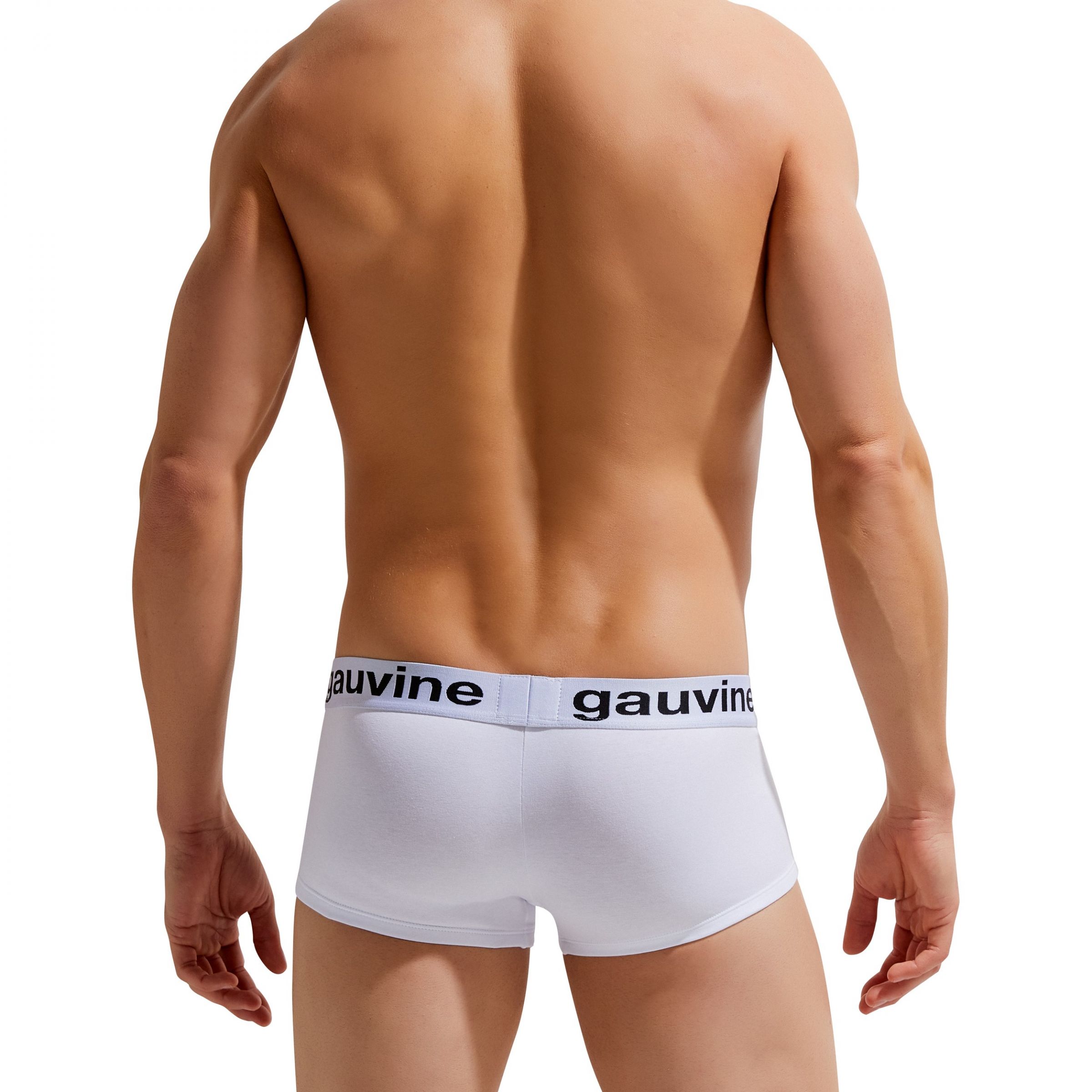 Мужские трусы-боксеры с брендированной резинкой Gauvine 5