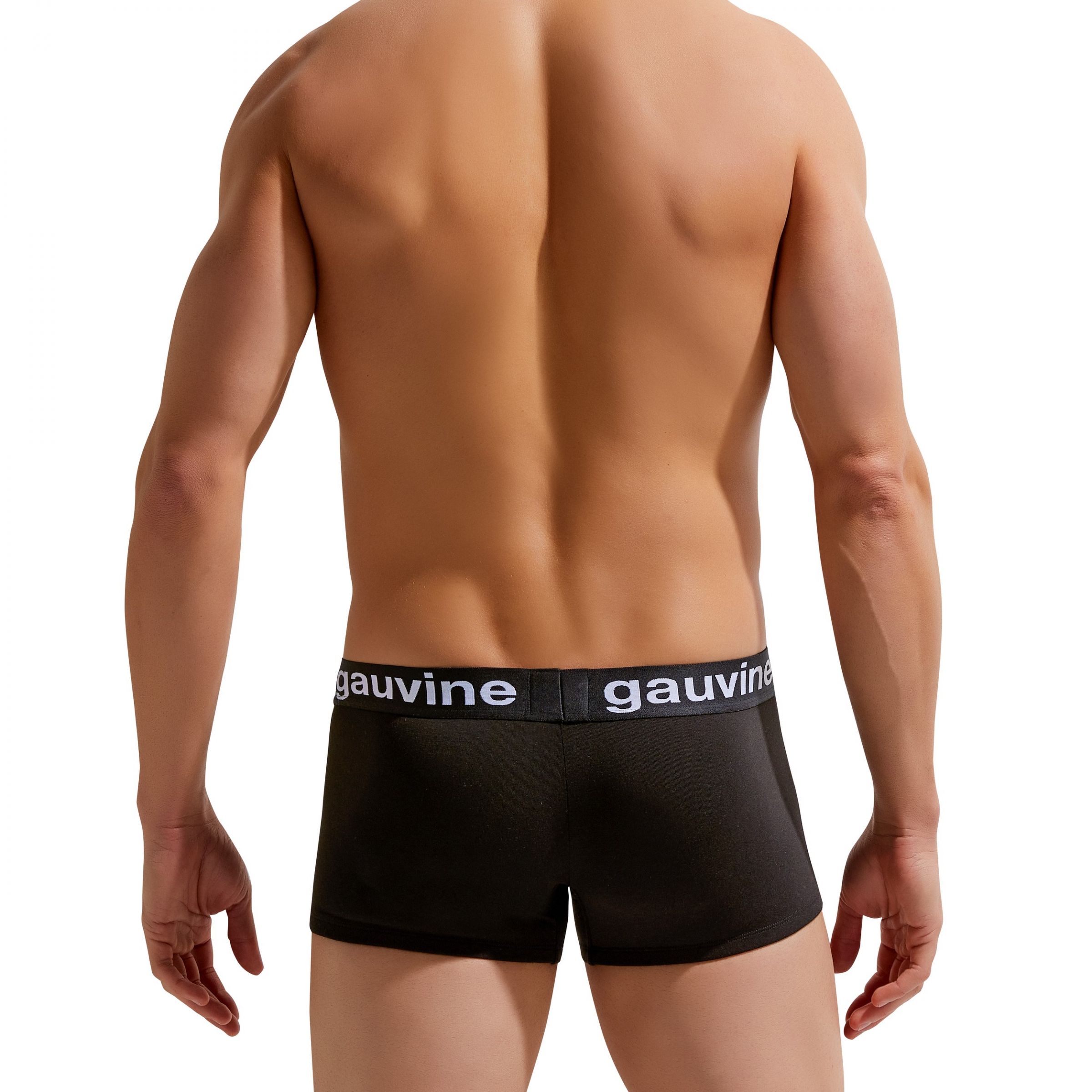 Мужские трусы-боксеры с брендированной резинкой Gauvine 2
